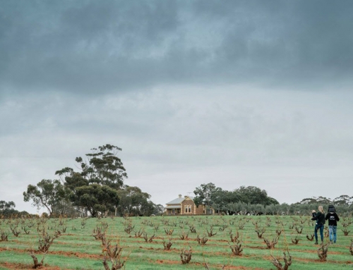 Shanahans Wines